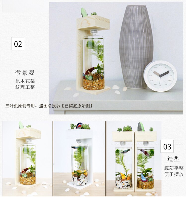 Desktop Fish Tank Home Desk Ecological Fish Tank Microscopic Fleshy Thai Fish Tank Aquarium Plastic Fish Tank