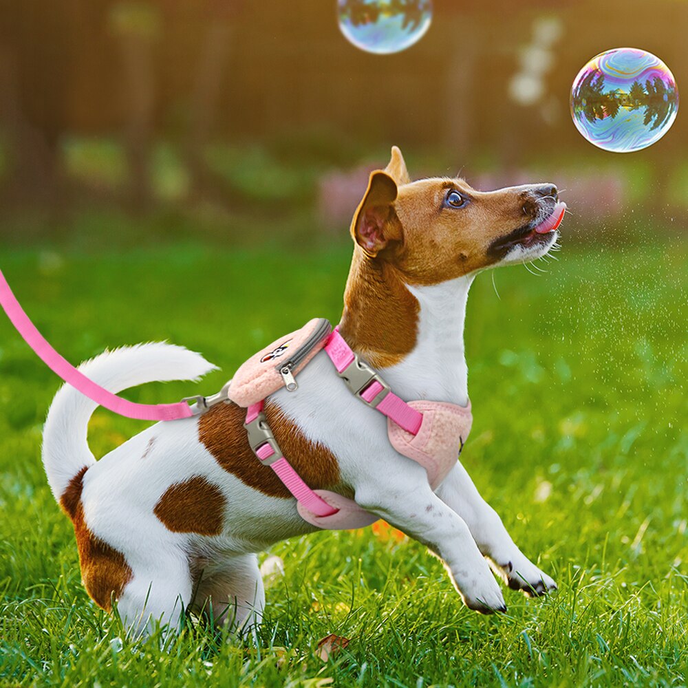 Lille hundesele snor med snackpose nylon chihuahua hvalpe kat sele bly flannel kæledyr mops seler til små mellemstore hunde