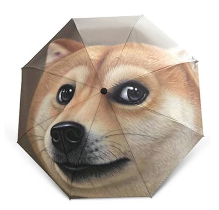 Parapluie automatique à motif de chien Husky | Imprimé, protection contre la pluie et les UV, grand parasol de: B