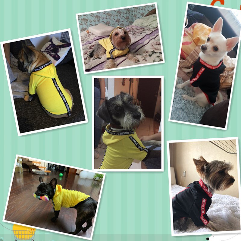 Mode Hond Kat Kleding Warm Huisdieren Honden Kleding Kleine Medium Honden Kostuum Leisure Katten Honden Hoodie Chihuahua Outfit Ropa Perro