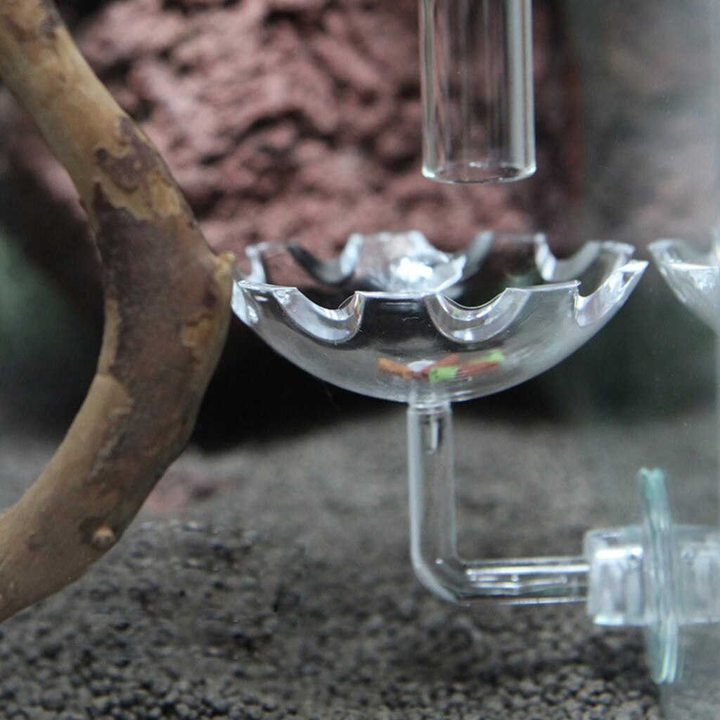 Akvarium akvarium reker mater mater klar glass materørskål sugeluft reker bolle materør for fisketank materbrett