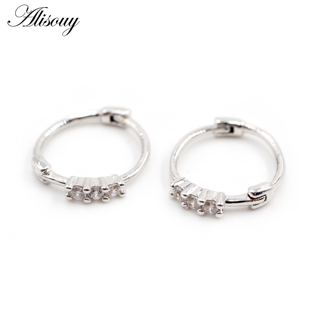 Alisouy 2 Stuks Koperen Mannen Vrouwen Cz Zircon Huggies Kleine Hoepel Oorbellen Oor Kraakbeen Piercing Helix Tragus Daith Conch Body sieraden: EM1349A Silver Color / 10mm