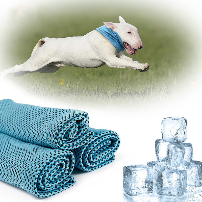 Cooling Hond Kraag Ijs Sjaal Comfortabele Halsband Voor Kleine Honden Bulldog Hond Zomer Zonnesteek Cooling Neck Wrap Dierbenodigdheden