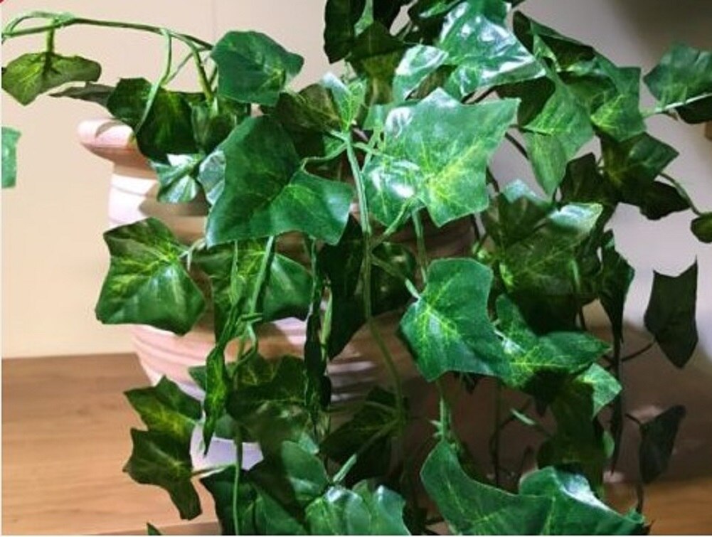 Sztuczne sukulenty perły mięsista zielona winorośl gałęzie ściany wiszące plastikowe rośliny rattanowe spadek domu dekoracje ślubne w kształcie kwiatów: 3