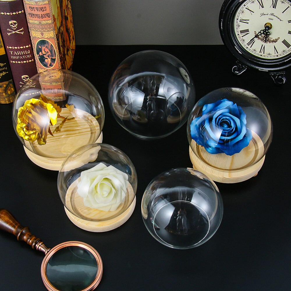 Glas cloche krukke display stand dække terrarium flaske med træ base akryl støv dække display kasse udødelig blomsteræske