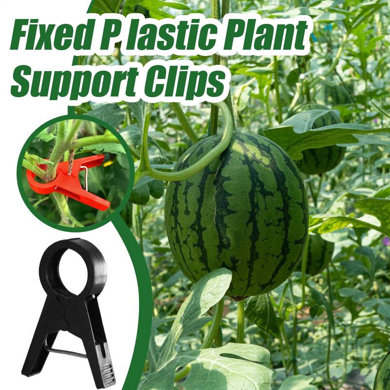 Clips para plantas trepadoras, 100 piezas, soporte para tallo de planta, Clips para orquídeas, suministros de jardinería, Clip para plantas trepadoras, reutilizable