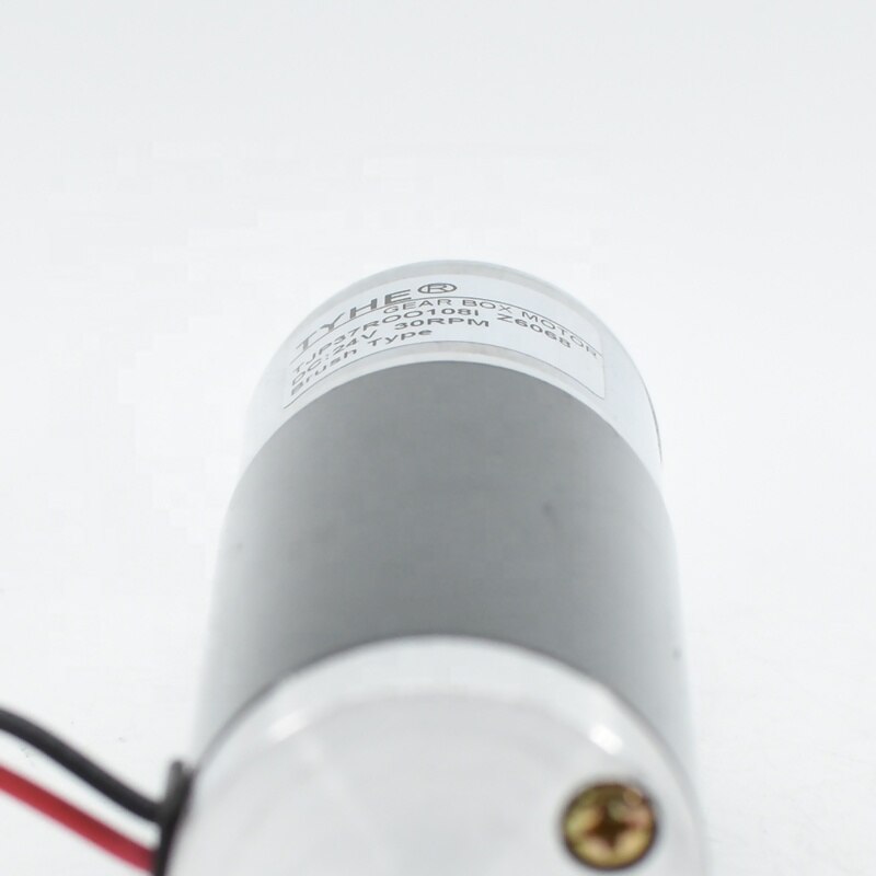 Laag Geluidsniveau Klein Formaat 12V Dc Magnetische Motor 12V Dc Motor Hoog Koppel 3000Rpm Dc Motor Versnellingsbak voor Robot