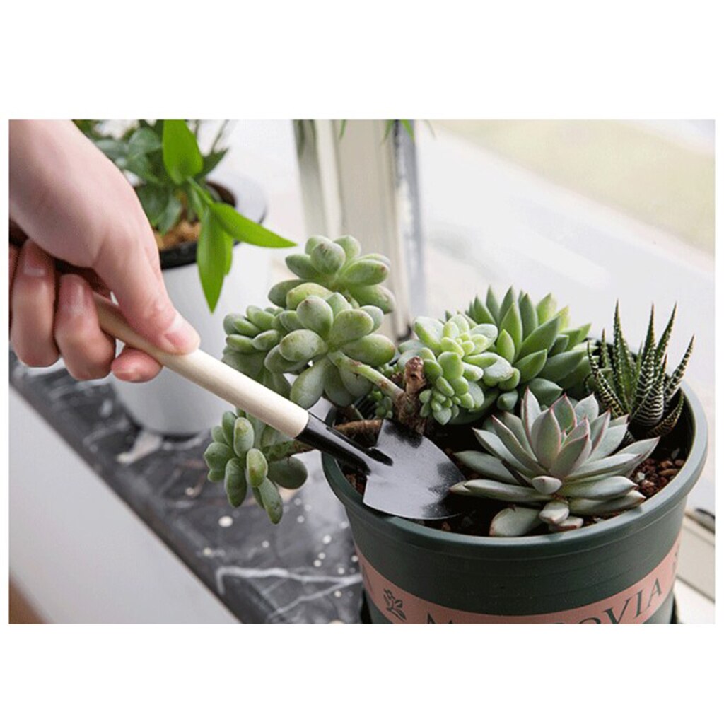 3pcs Garden Plant Tools Mini Planting Succulent Garden Tools with Wood Handle