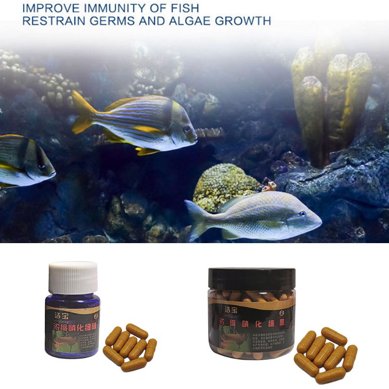 Aquarium Nitrifizierende Bakterien Superkonzentrierte Kapselfische für sauber Puri