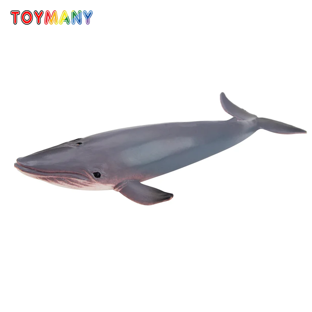 Toymany Simulatie Blauwe Walvis Oceaan Diermodel Speelgoed Minifiguren Poppen Actiefiguren Speelgoed Kinderen Taartdecoratie