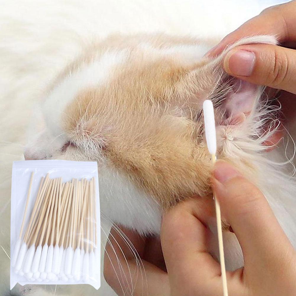 Coton-tige nettoyant pour oreilles de chien et chat, lot de 50 ou 100 pièces, fournitures pour animaux de compagnie
