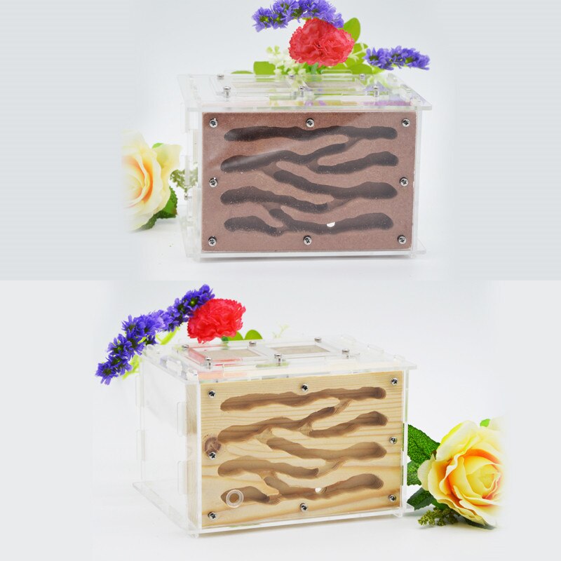 DIY Holz Ameise Bauernhof Ökologischen Acryl Ameise Nest mit Fütterung Bereich Holz Ameise Haus für Haustier Anthill
