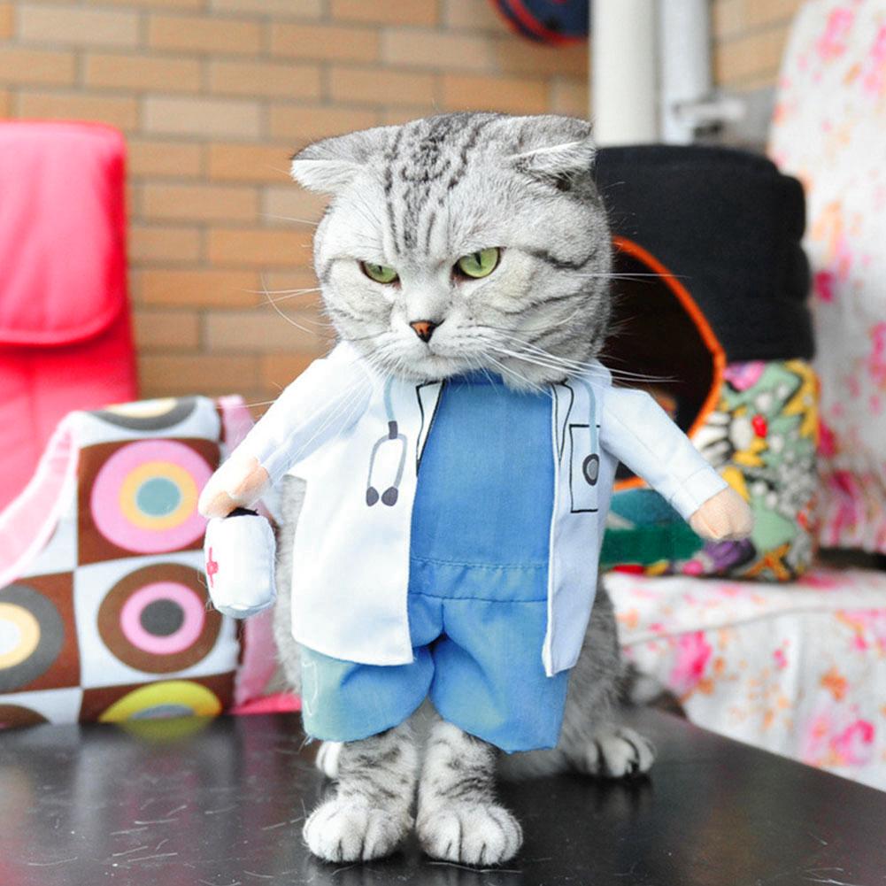 Disfraz de Halloween para mascota, disfraz de perro gato gracioso, Doctor, ropa de Doctor, Cosplay divertido, ropa, traje, uniforme