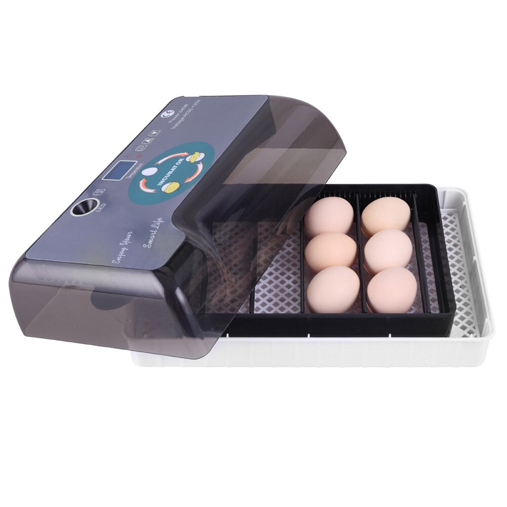 US/AU/ue/BG Plug 12 oeufs automatique ferme couvoir incubateur volaille poulet couveuse Machine nouvelle incubateur couveuse Machine