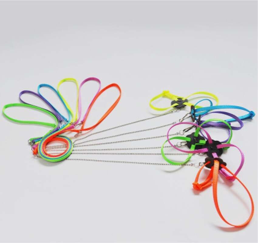 Lizard traction rope Pet traction rope with flying rope Parrot squirrel squid rat traction strap