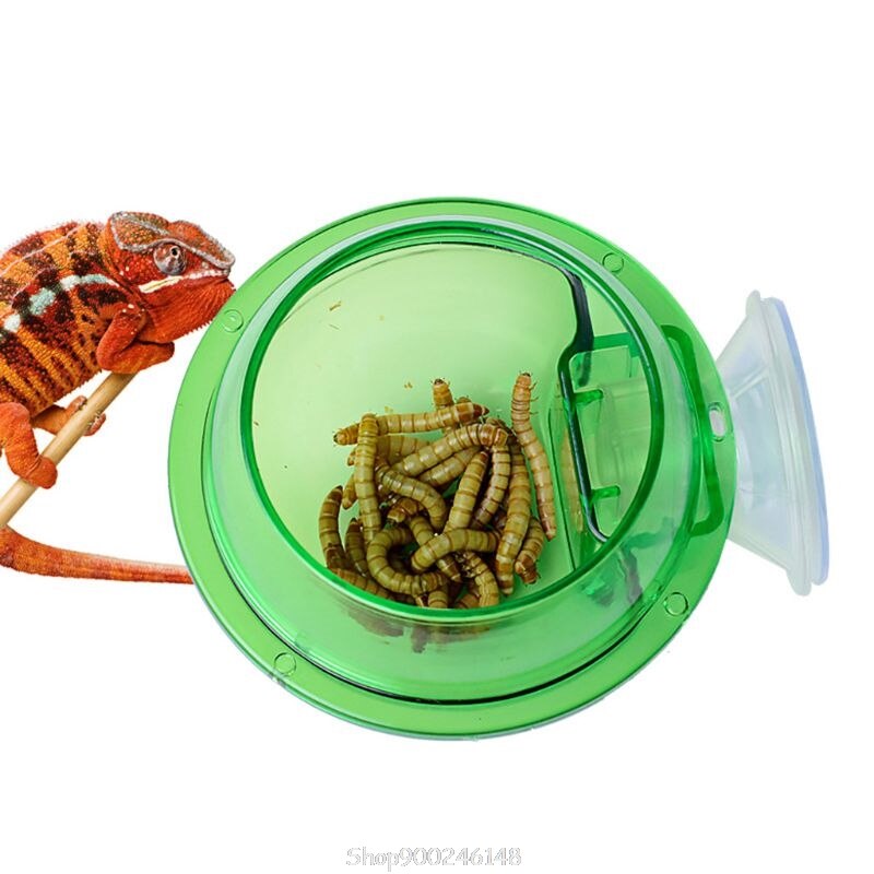 Reptile Anti-escape Food Bowl Cup Turtle Lizard Worm Live Food Container S04 20