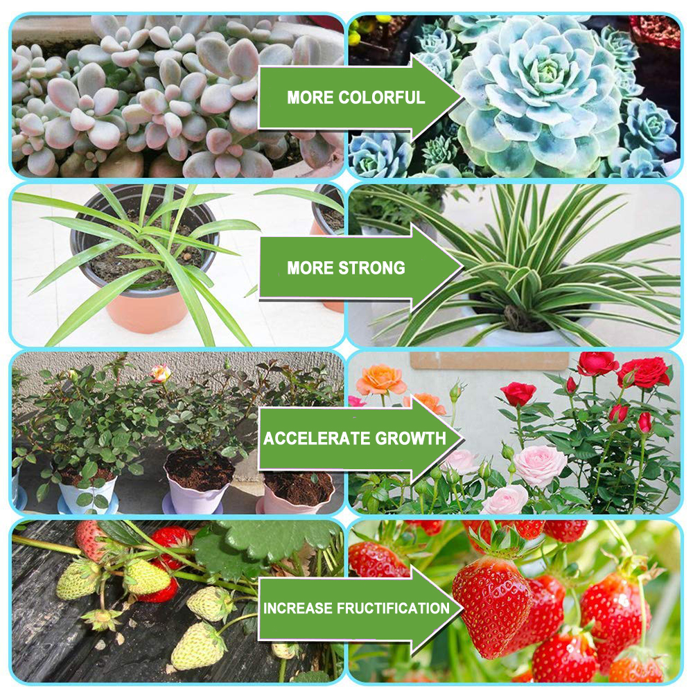 Phytolampe Led de croissance pour orchidées, 5V, USB, intensité variable, 3 couleurs, spectre complet