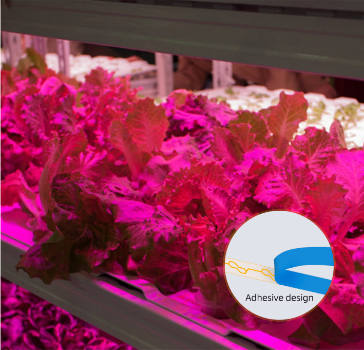 Led vækstlys fuldt spektrum usb vækstlysstrimmel 0.5m 1m 2m 2835 chip led phyto lampe til planter blomster drivhus hydroponisk