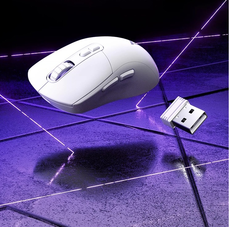 TAIDU TSG809 Hohlloch-Maus mit drei Modi, kabellos, ultraleicht, 2,4 G Gaming, Esports, PCPAW3311, leise Maus, Mikrotasten