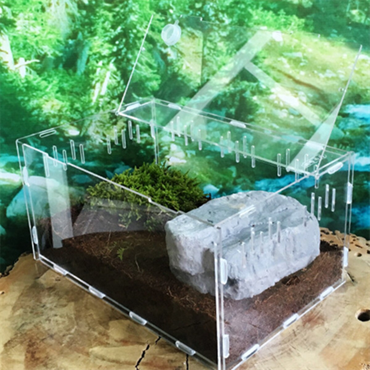 S/L Size Reptile Tank Insect Spiders Tortoise Lizard Acrylic Transparent Breeding Box Vivarium Lid Reptile Pet Product Terrarium