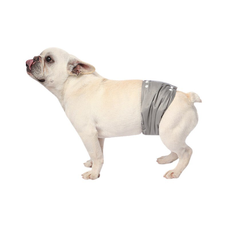Cane Pantaloni Pannolino Riutilizzabile Lavabile Cane Fisiologici Shorts Durevole Comodo Biancheria Intima Slip Pantaloni Per Cani Chihuahua