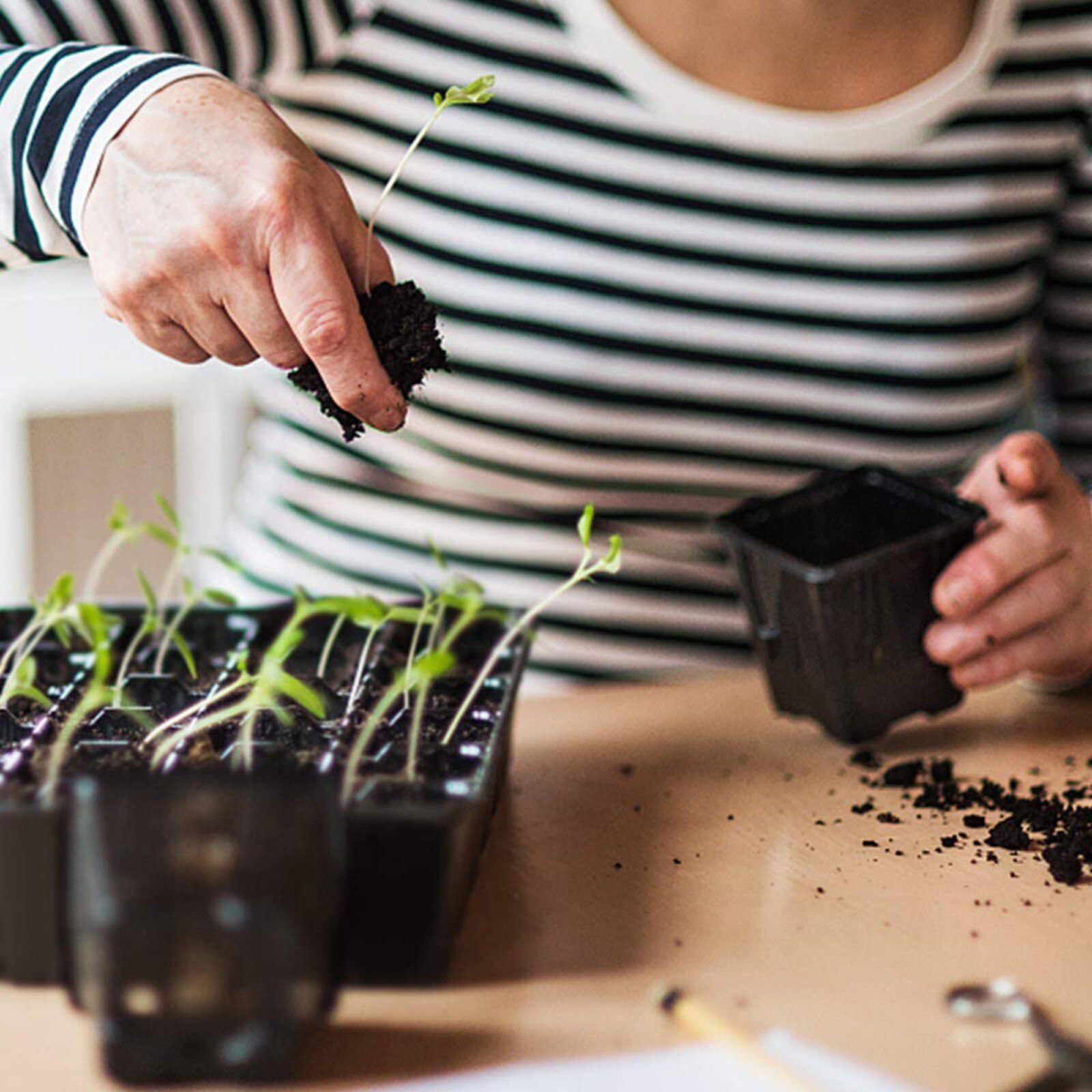 50 Cells Nursery Grow Box Seedling Trays- BPA Free Plastic Gardening Germination Trays Propagation Cell Seedling Starter Tray
