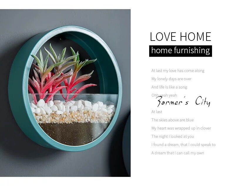 Pot planteur rond mural suspendu | Vase porte-plantes décoratif pour la maison, idéal pour les Cactus succulents, les plantes à Air, etc