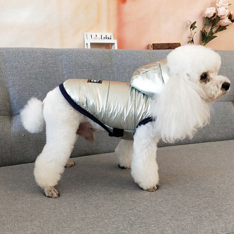 Manteau de gilet en coton épais à Surface brillante pour chien, Costume sans manches pour petit et moyen gabarit, automne et hiver