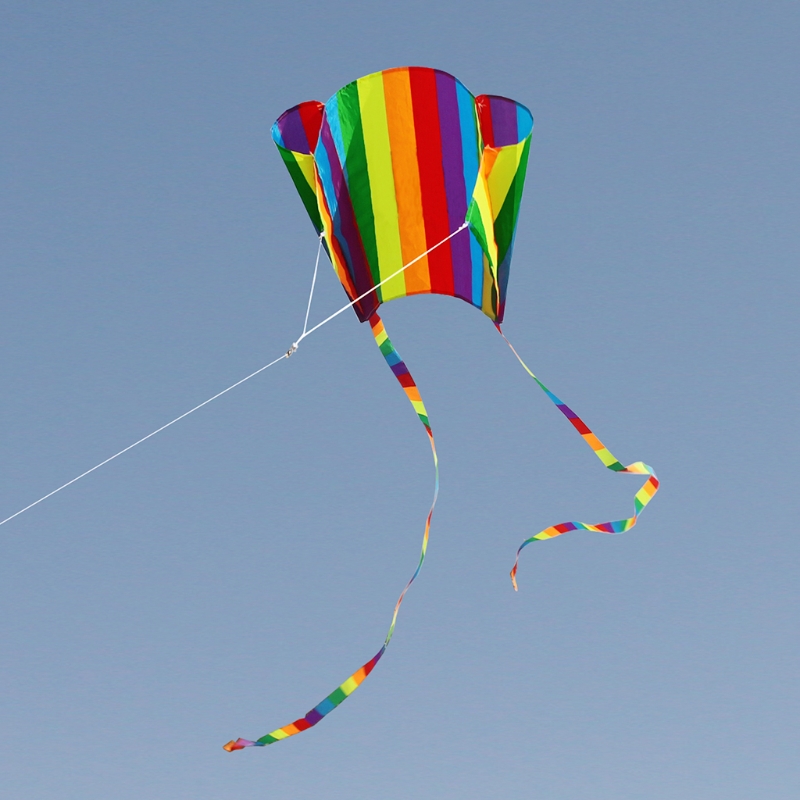 Happyy baby regenbogen-gleitschirmdrachen mit schwänzen, weiches drachenspielzeug, inklusive 30m drachenleinen: Default Title