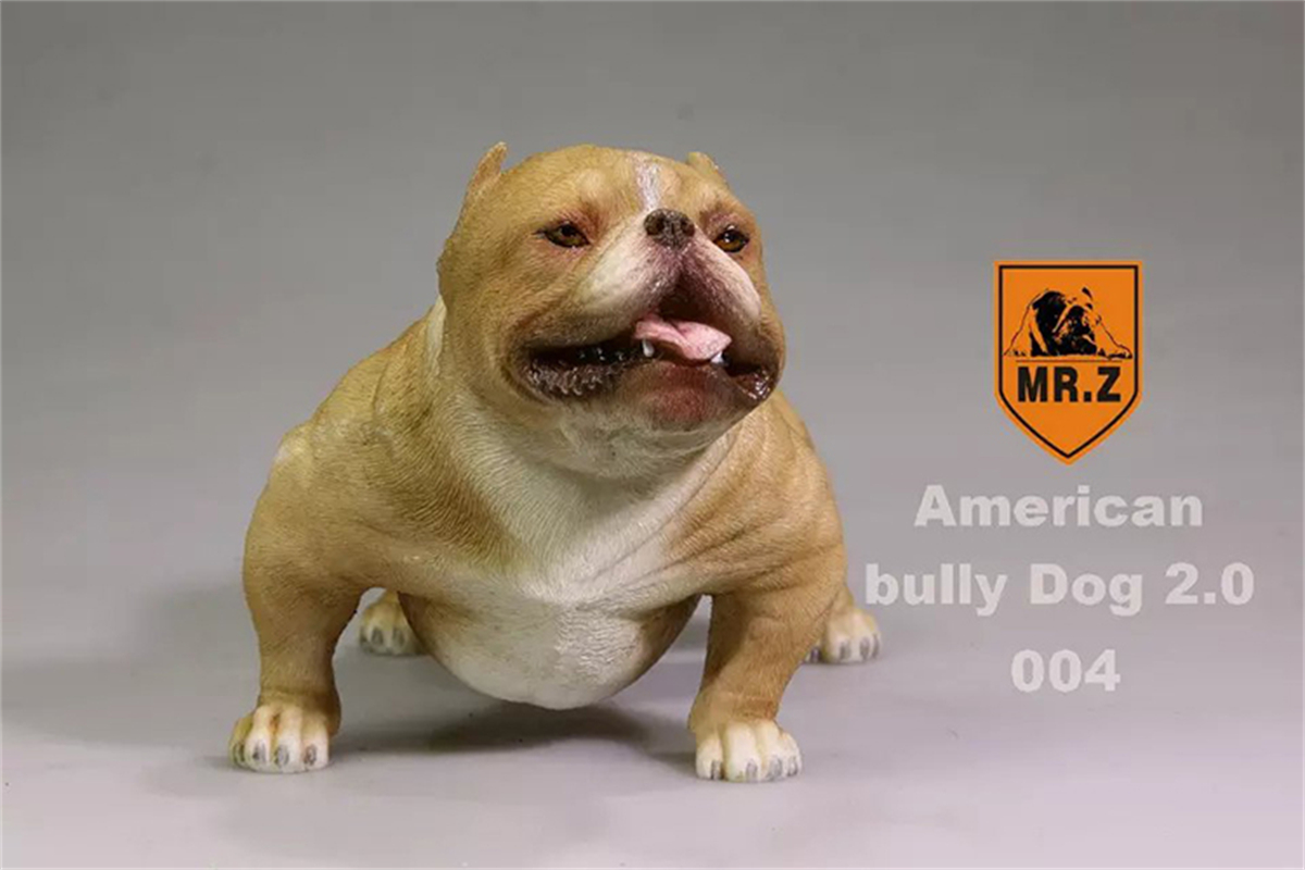 Mr.Z Studio 1:6 American Bully Pitbull Dog Pet Figure Animal Toy Collector Xmas Play Decoration Ornaments Hand To Do: 004