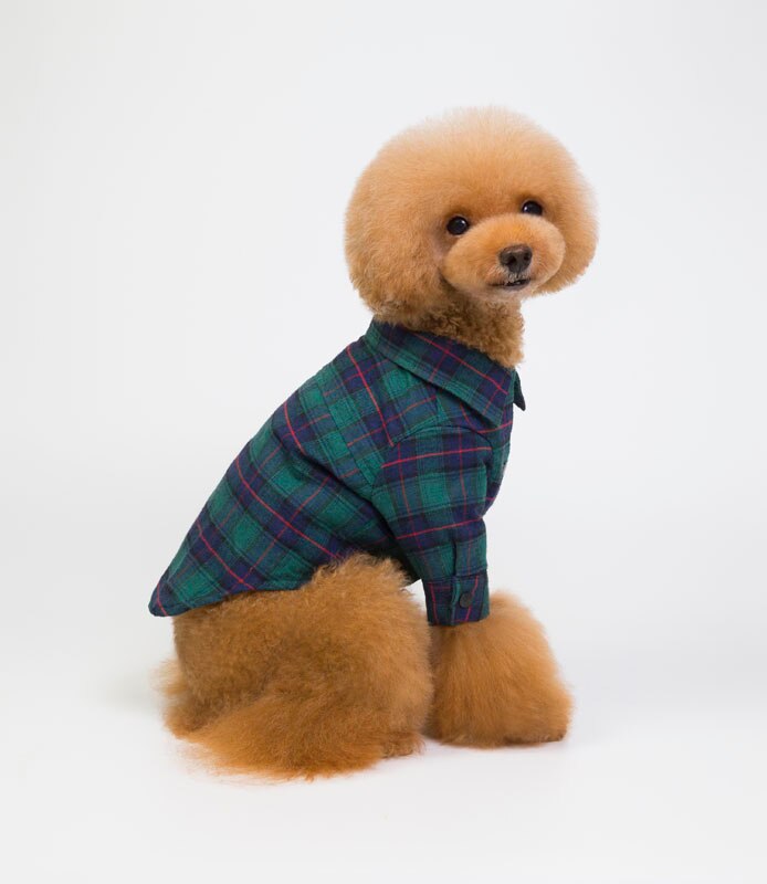Sommer hundetøj til små hunde bomuldshunde-t-shirt vest koreansk gingham grøn rød: Grøn / Xl