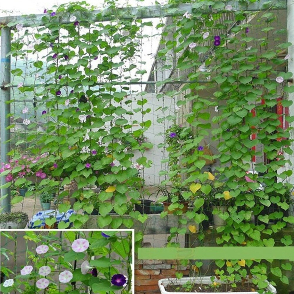 Fruits matin gloire escalade fleur escalade filet escalade corde Nylon fleurs maison jardin pratique jardinage Melon plante outils