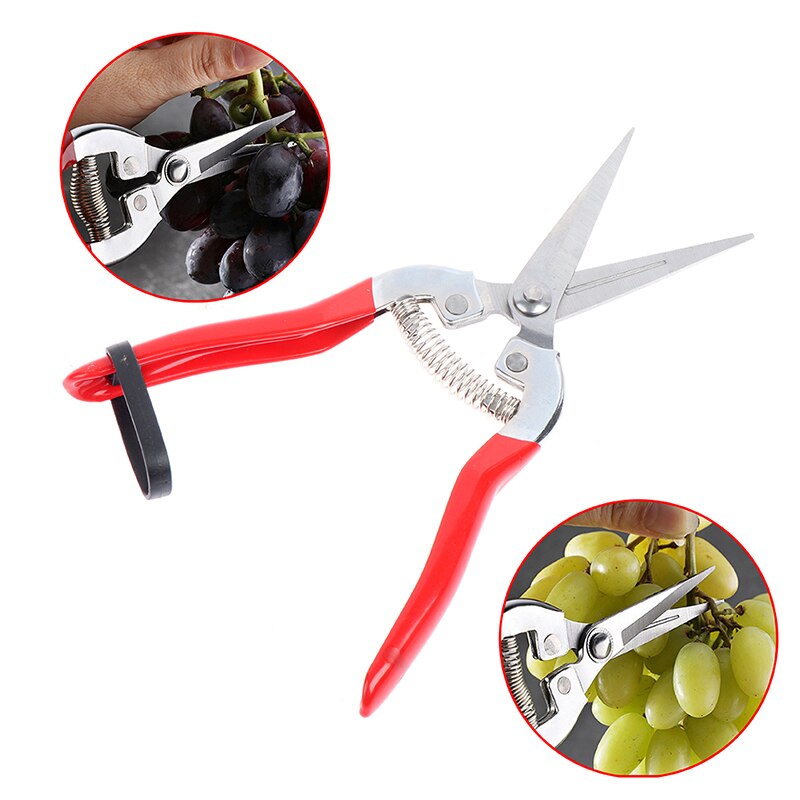 High Carbon Steel blade pruning cut Shrub tool Plant horticulture leaf trimmer Shear Scissor pruner Garden fruit flower Orchard
