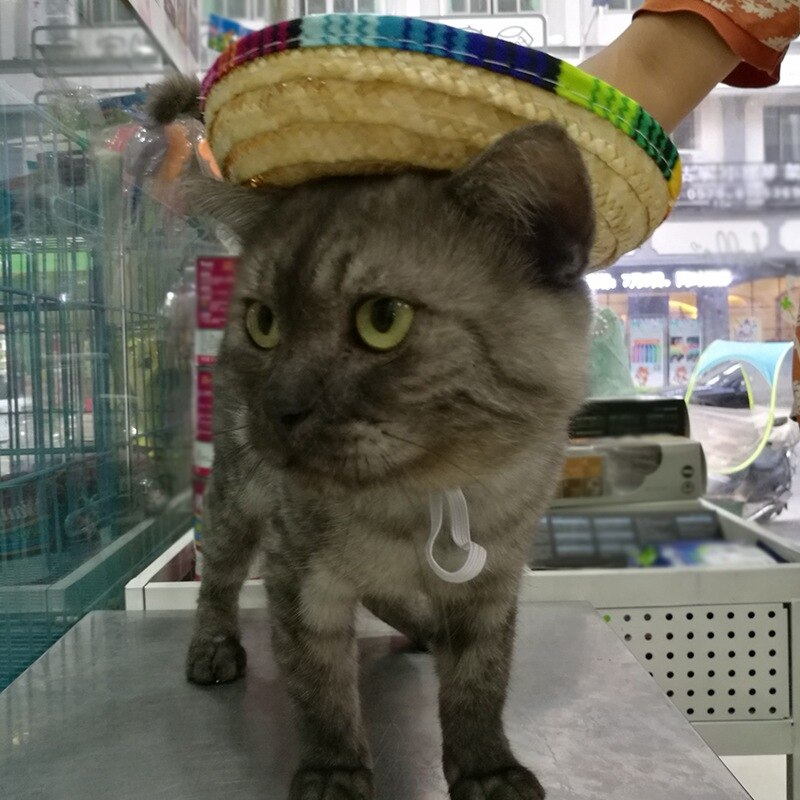 Sombrero mejicano de paja con hebilla ajustable para mascotas, Sombrero tejido de paja para perros, traje ajustable