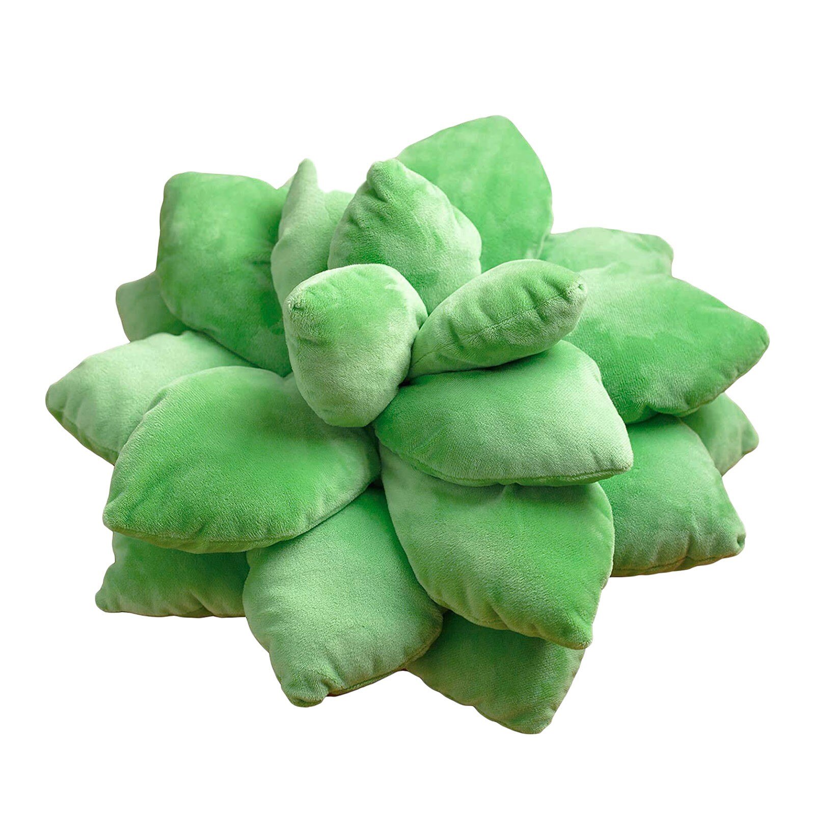 Succulent Cactus Kussen Decor Tuin Groen Liefhebbers Leuke Vetplanten Jongen Meisje Kamer Slaapkamer Decor Woonaccessoires
