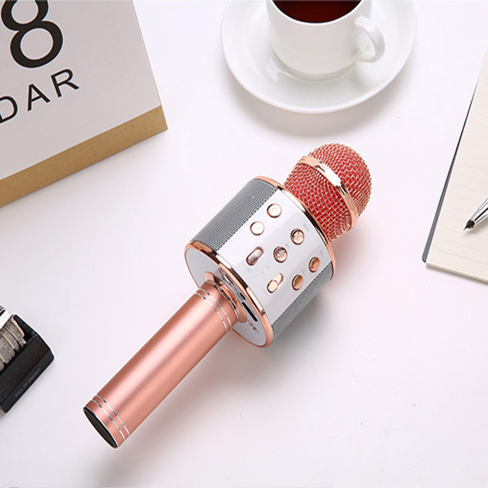 Travor Bluetooth Wireless Microphone Karaoke Microphone Speaker Handheld Music Player MIC Singing Recorder KTV Microphone: 16001235-01-D