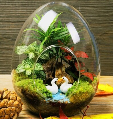 Grand Vase à oeufs Terrarium-33 cm