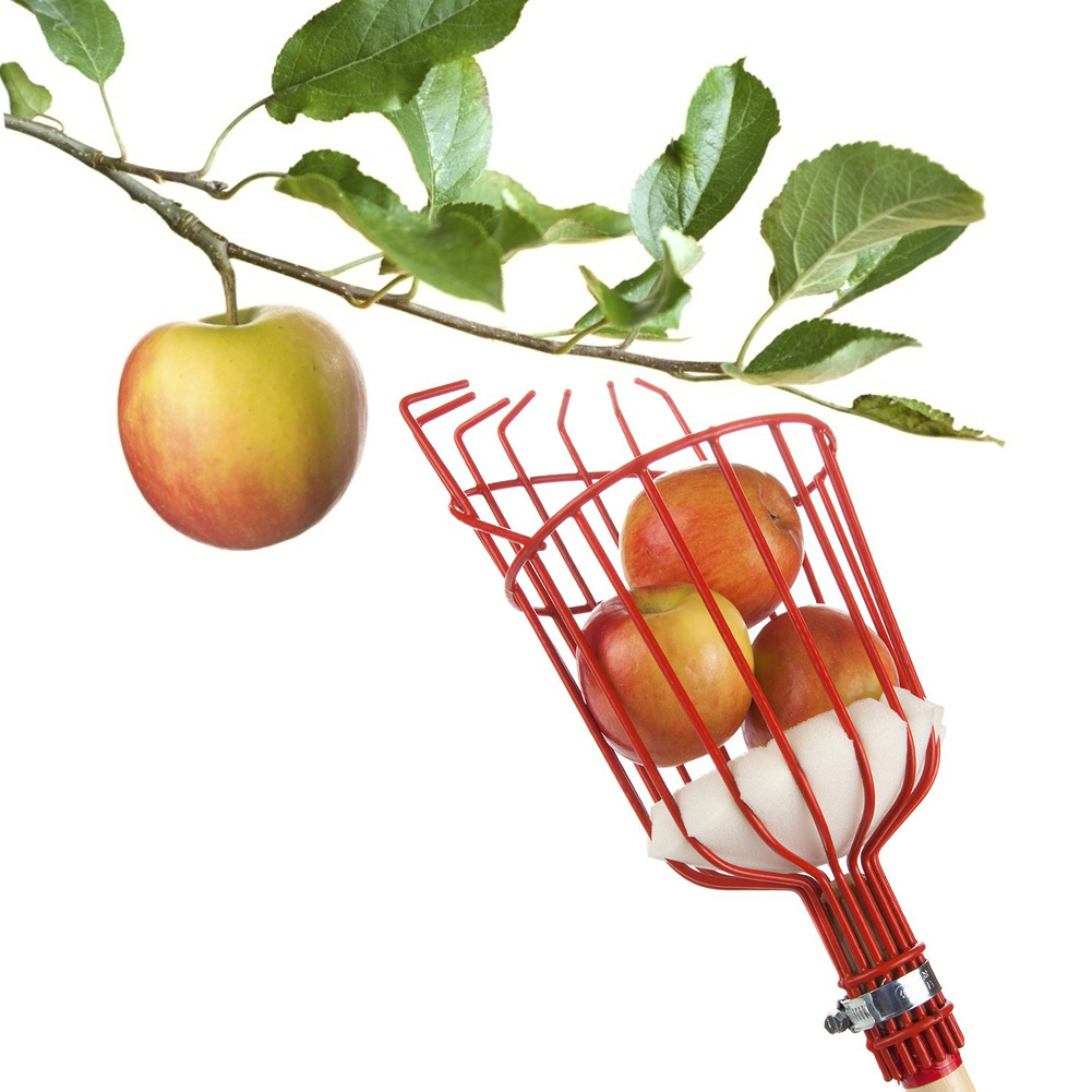 Metal frugtplukker havearbejde æbler pærer ferskner appelsiner frugt fangst enhed drivhus frugtplukker haveværktøj