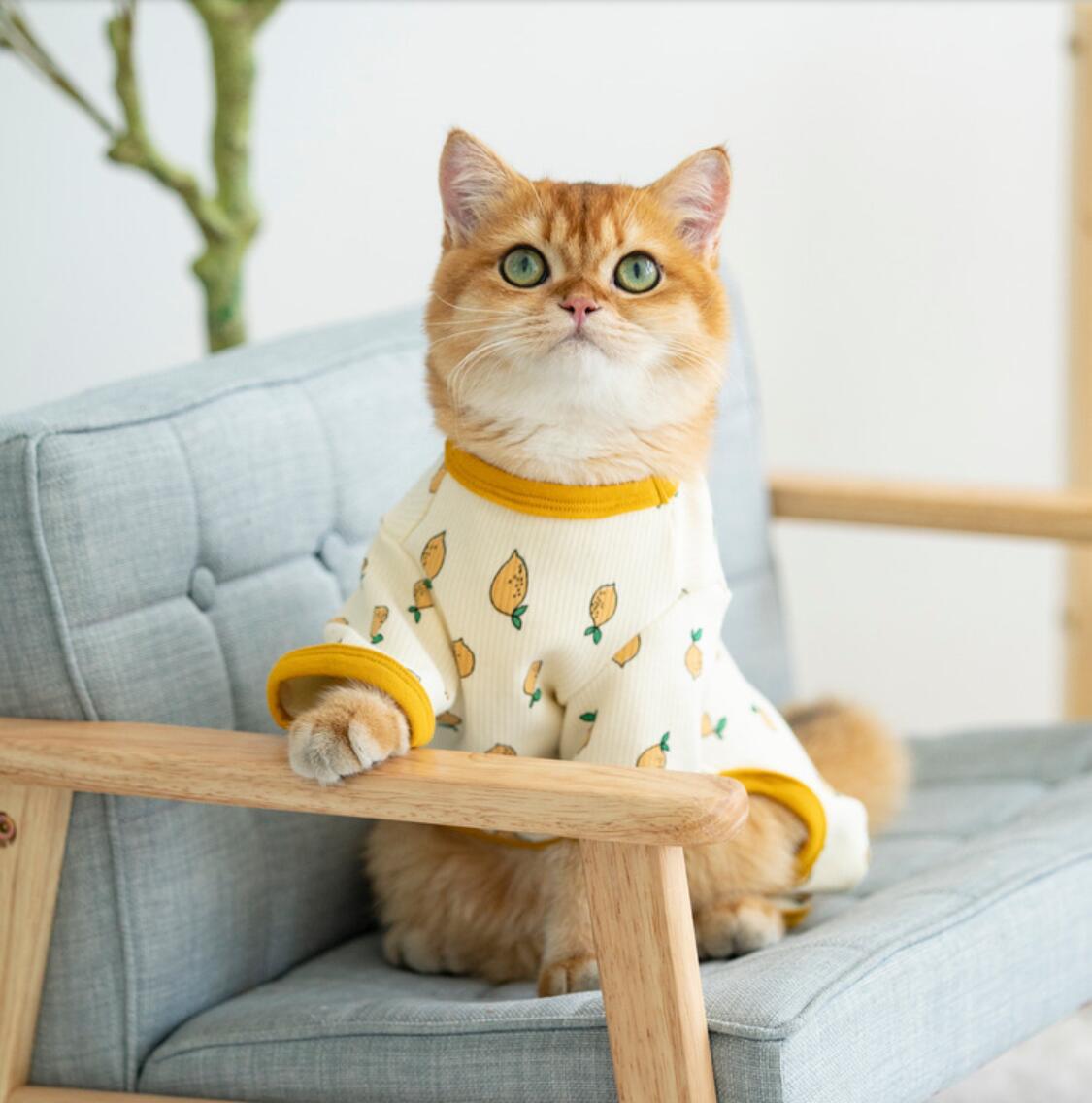Ropa de invierno para gatos, abrigo para cachorros y gatitos, chaqueta para perros pequeños y medianos, C