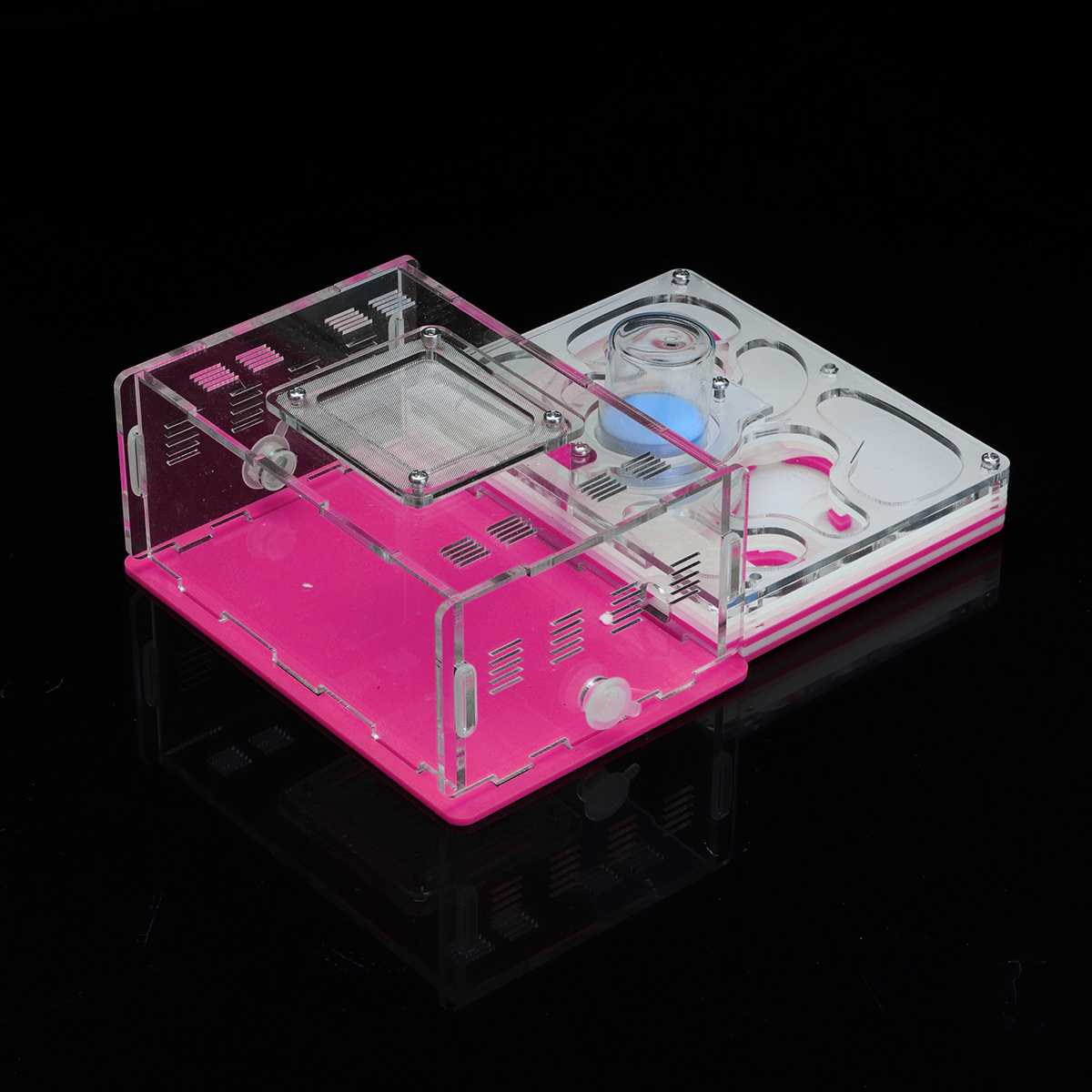 DIY Ameise Nest Ameise Bauernhof Ameisen Arbeit Pädagogisches Formicarium Acryl Insekt Ameise Nester Villa Haustier Manie Haus freundlicher: Rosa