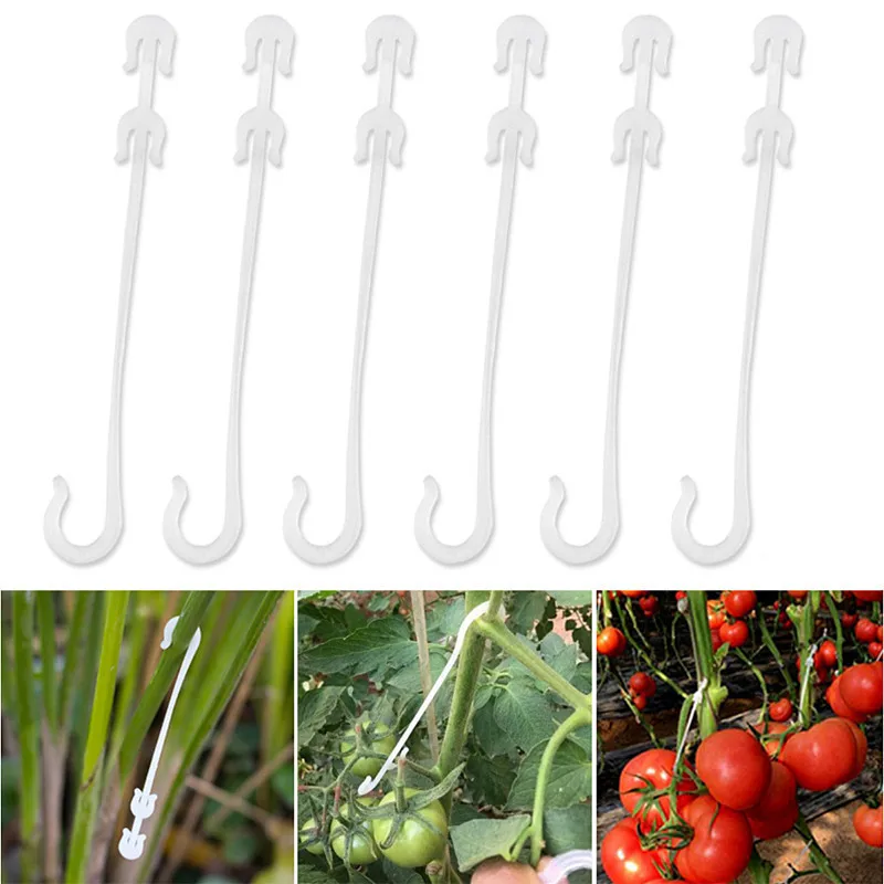 50/100 Stück Tomaten-Stützhaken, 9,5/13/16 cm, Pflanzen-Stütz-Gemüse-Clips, um Tomaten- und Obstcluster vor Kneifen zu verhindern