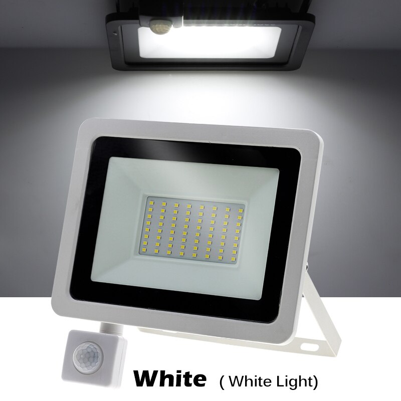 Vedenpitävä led-katuvalo 10w-100w säädettävä valonheitin 220v pir-liiketunnistimella ulkovalaisin puutarhakadulle: Valkoinen kuori-valkoinen / 10w