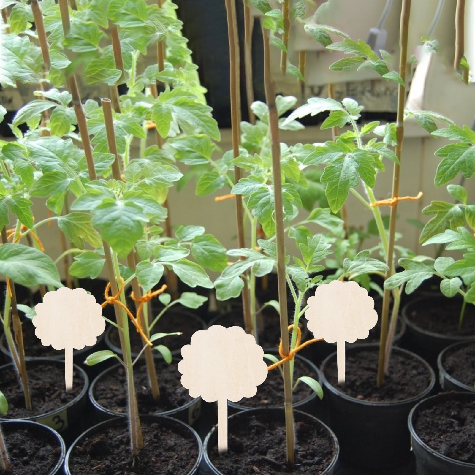 Letreros con etiquetas para plantas, etiquetas creativas de madera para jardinería, tipo T, decoración creativa de flores para jardín y guardería, bandeja para semillas, 10 Uds.