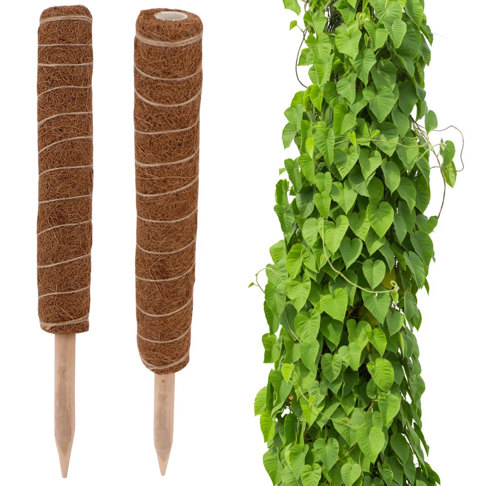 2PCS Extendable Coconut Palm Bar Plant Climbing Vine Coconut Palm Stick Plants Climbing Coconut Palm Pole Gardening Support Pill