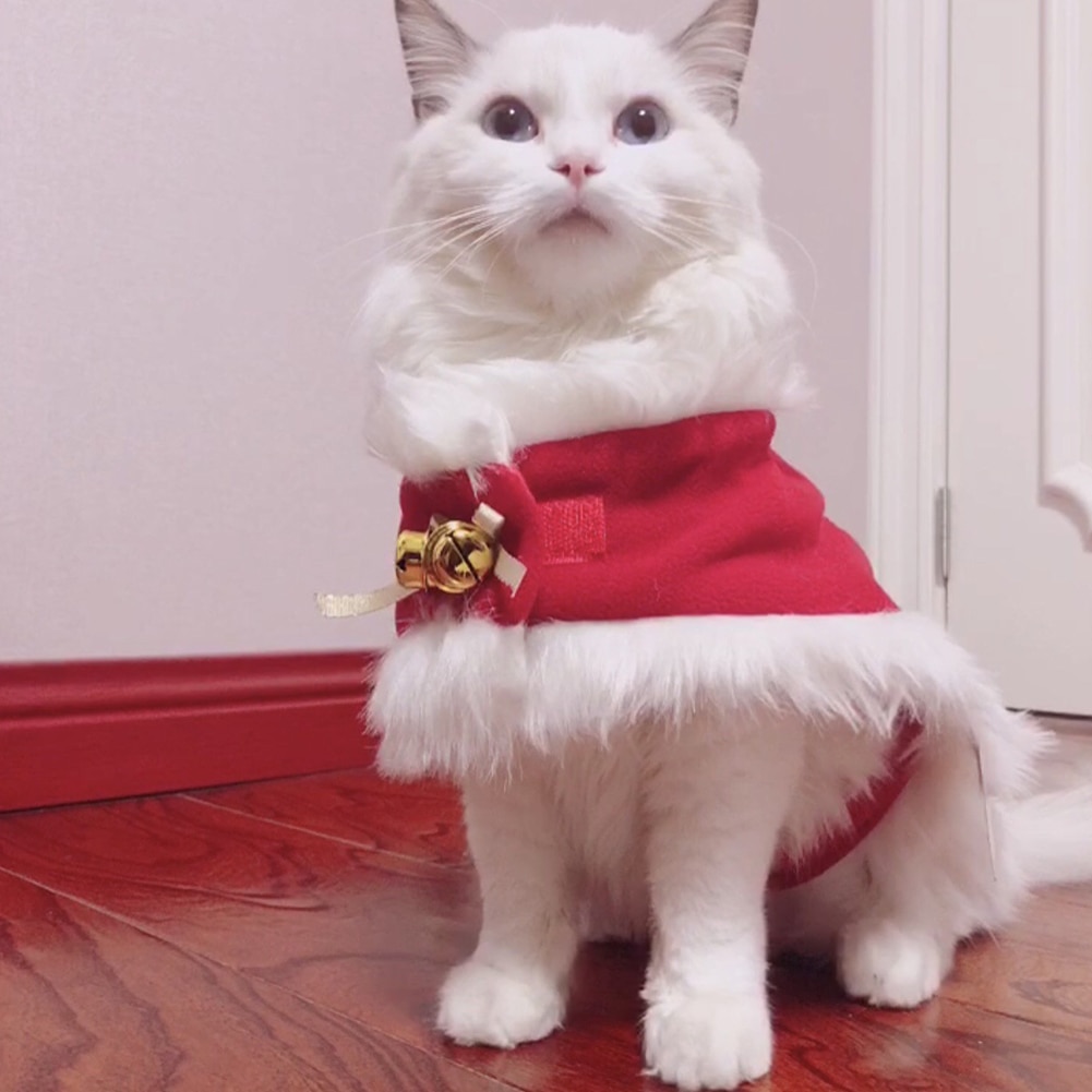 Stijlvolle Kitten Kleding Set Warm Kerstmuts Sjaal Kleine Kat Mantel Kerstman Kostuum Huisdier Kerst Jurk-Up Kleding