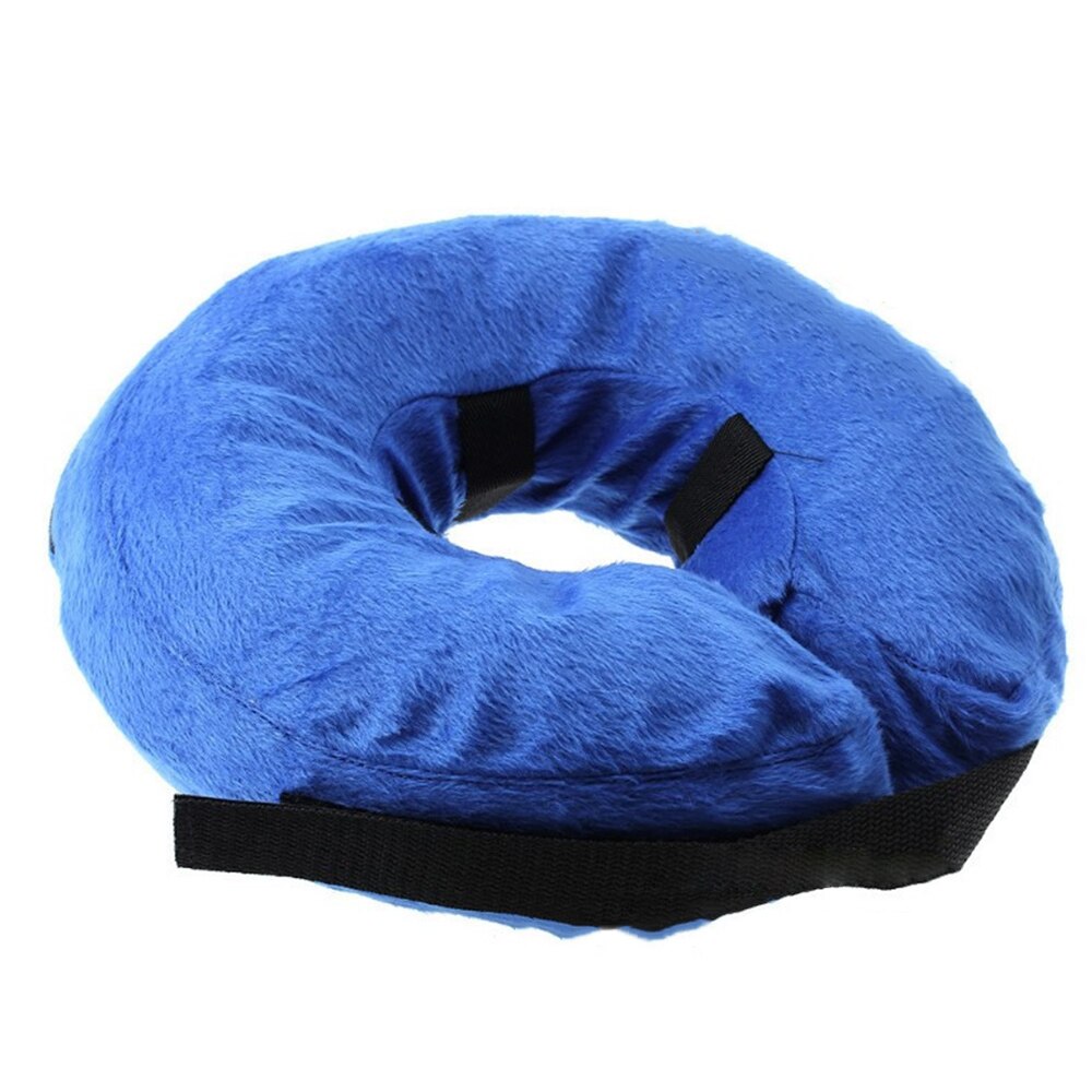 Dog Training Collars