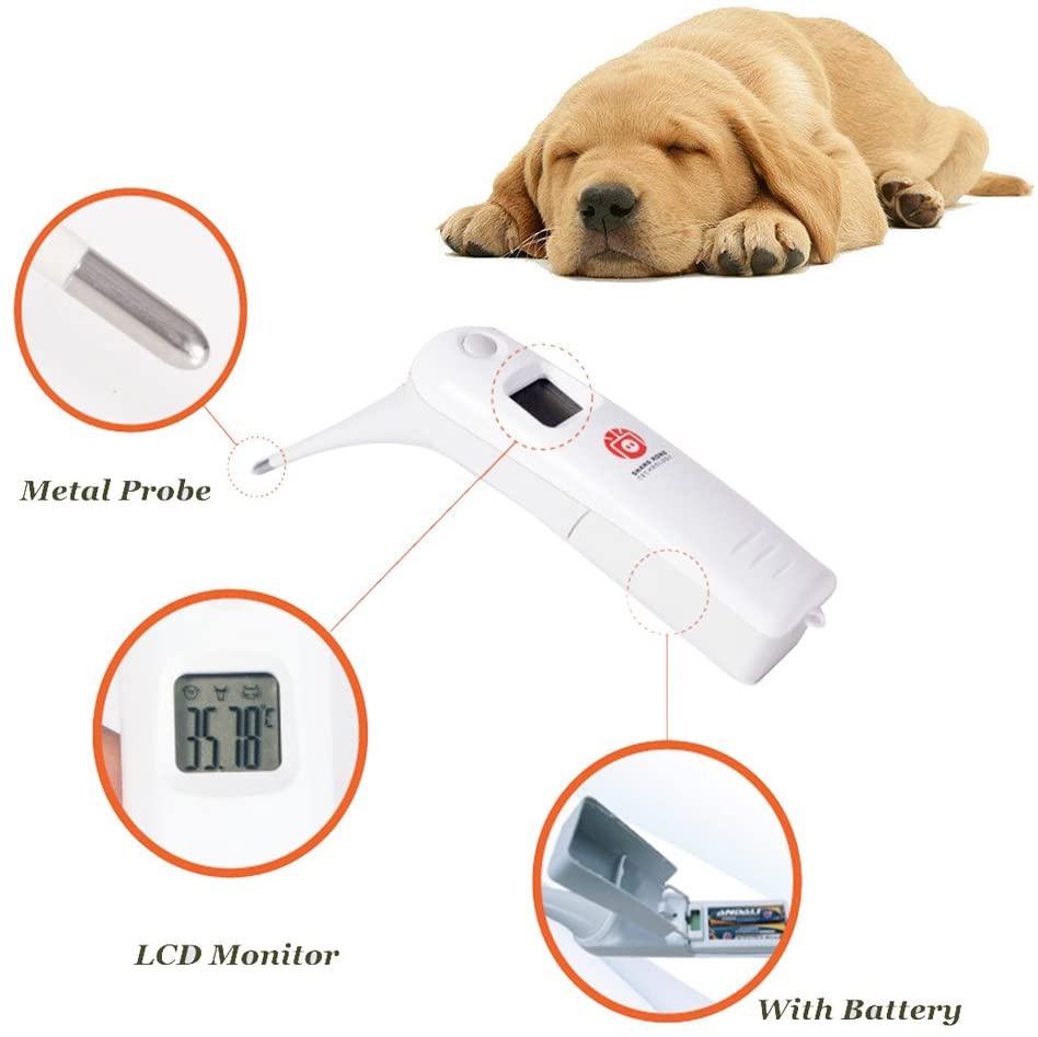 Dyr elektronisk ermometer kæledyrstermometer digitalt termometer er et hurtigt rektalt termometer til hunde, hest, katte, svin, får