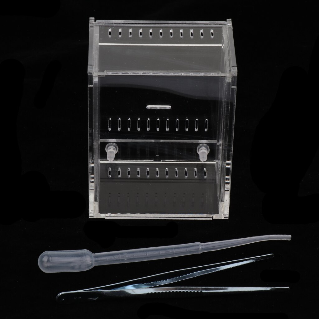 Reptile Terrarium Amphibian Habitat for Mini Pet Houses Acrylic Box Clear