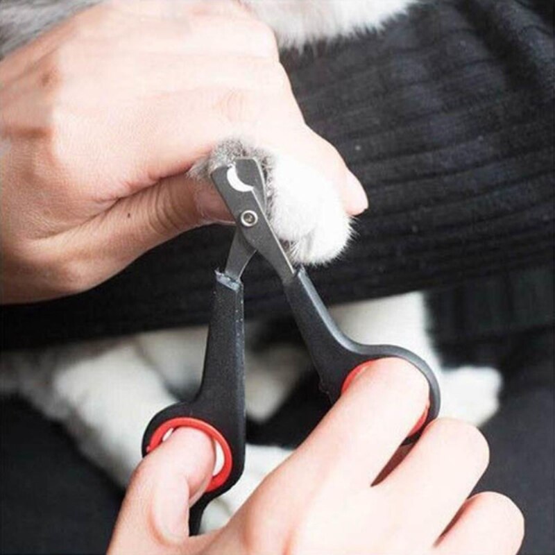 Coupe-ongles en acier inoxydable pour chien, outil de manucure pour orteils, griffes d&#39;animaux de compagnie, ciseaux de toilettage pour chiot, chat, lapin