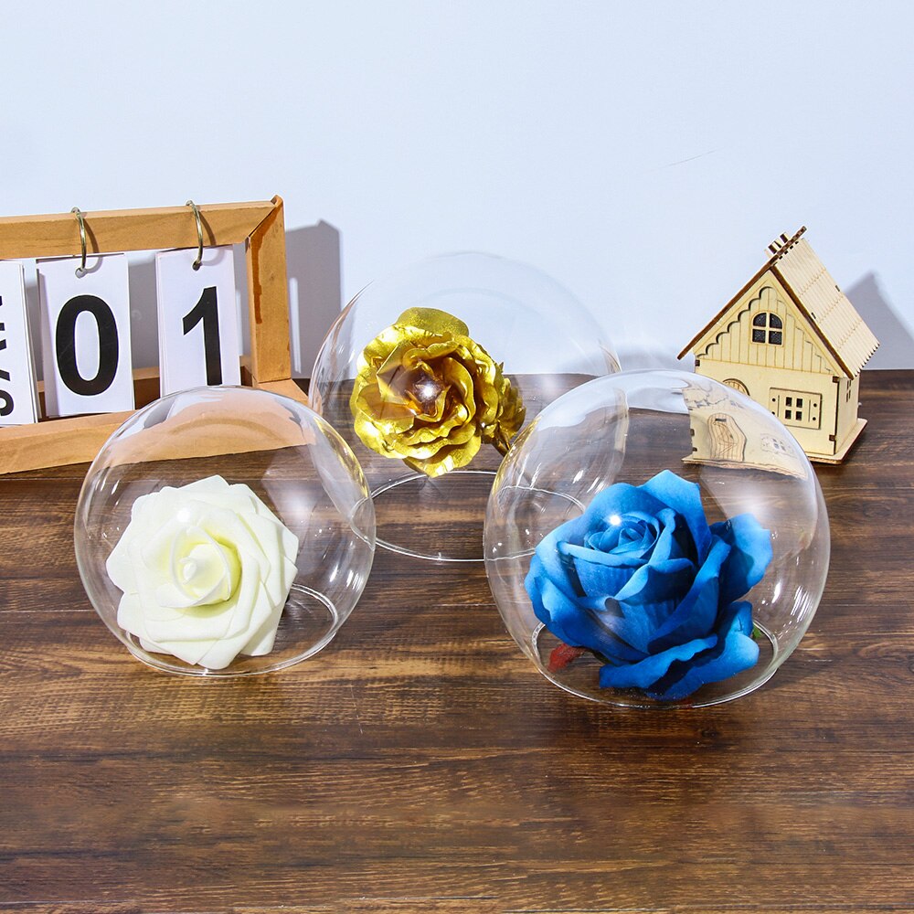 Spherical Glass Cloche Jar Display Stand Cover Terrarium Bottle with Wooden Base Acrylic Dust Cover Display Box Flower Box Home
